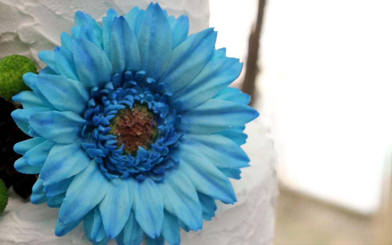 Tortas en Buttercream